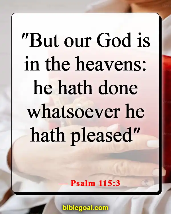 Bible Verses About God Being In Control Of Our Lives (Psalm 115:3)