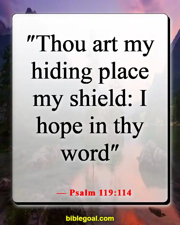 Bible Verse About Hope For The Future (Psalm 119:114)