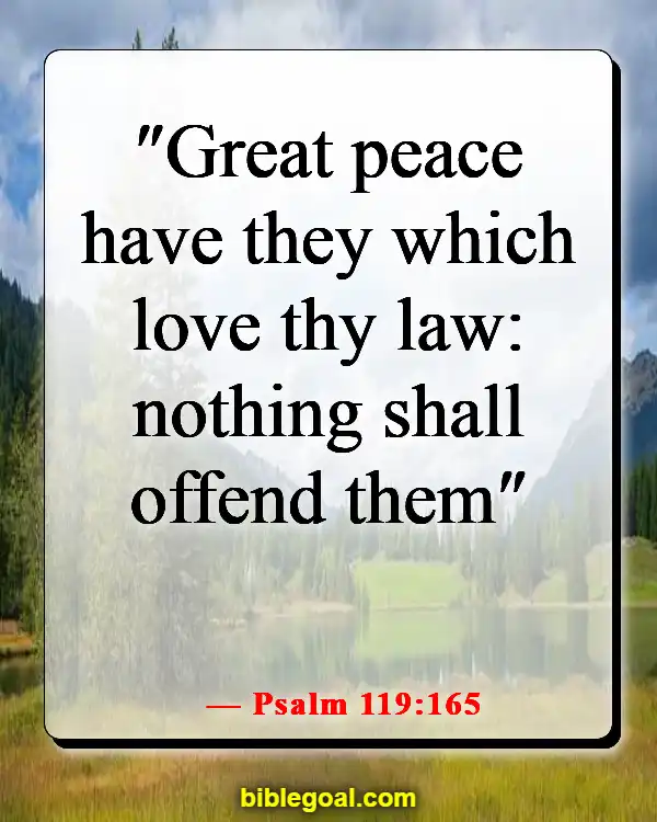 Bible Verses About Abiding By The Law (Psalm 119:165)