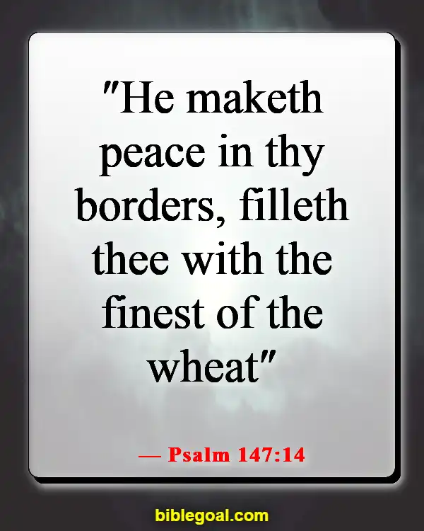 Bible Verses About Peace In The Presence Of God (Psalm 147:14)
