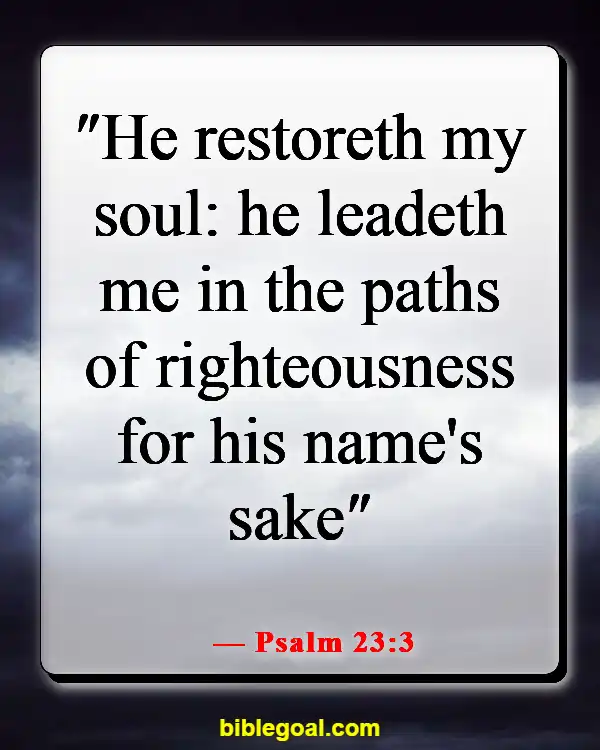 Bible Verses For When You Feel Dumb (Psalm 23:3)