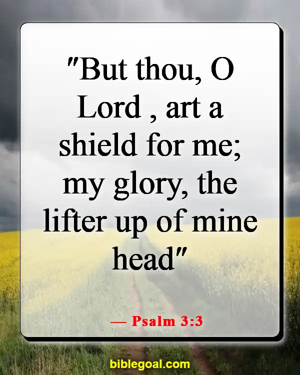 Best Bible Verses For When You Are Depressed (Psalm 3:3)