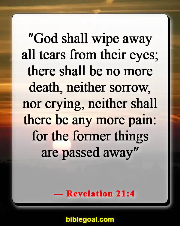 Bible Verse About Hope For The Future (Revelation 21:4)