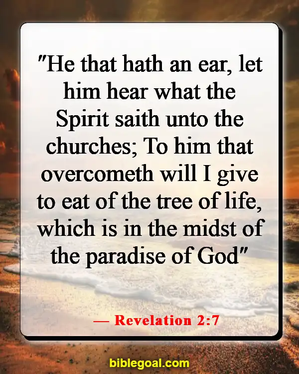 Bible Verses About The Hope Of Heaven (Revelation 2:7)