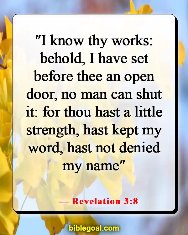 Bible Verses About Seasons Of Life (Revelation 3:8)