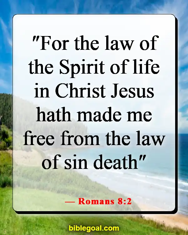 Bible Verses About Freedom Of Choice (Romans 8:2)