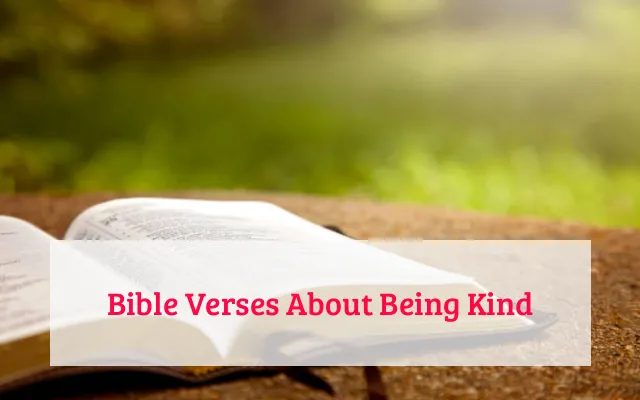 Bible Verses About Being Kind
