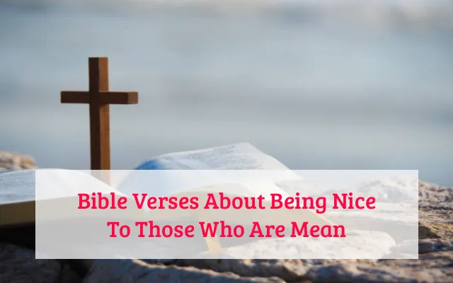 Bible Verses About Being Nice To Those Who Are Mean