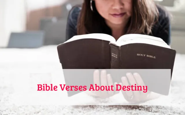 Bible Verses About Destiny