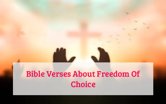 Bible Verses About Freedom Of Choice