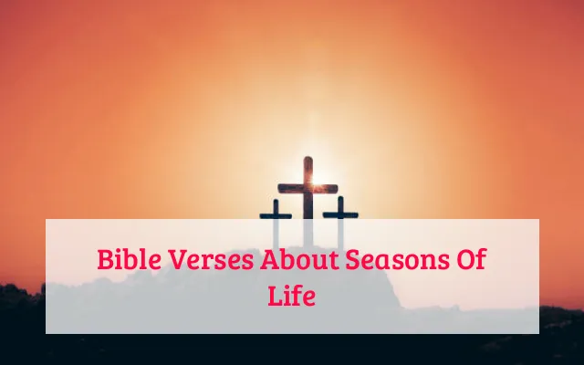 Bible Verses About Seasons Of Life