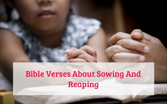 Bible Verses About Sowing And Reaping